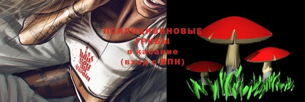 ECSTASY Кодинск