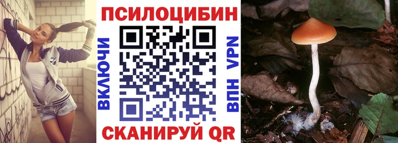 KRAKEN ССЫЛКА  Называевск  Галлюциногенные грибы Magic Shrooms  сколько стоит 